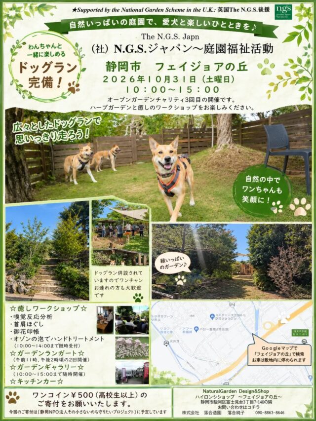 今年のオープンガーデン
10月31日(土)に開催します☺️
柚、桜、仰も皆さんのお越しをお待ちしてます🐶