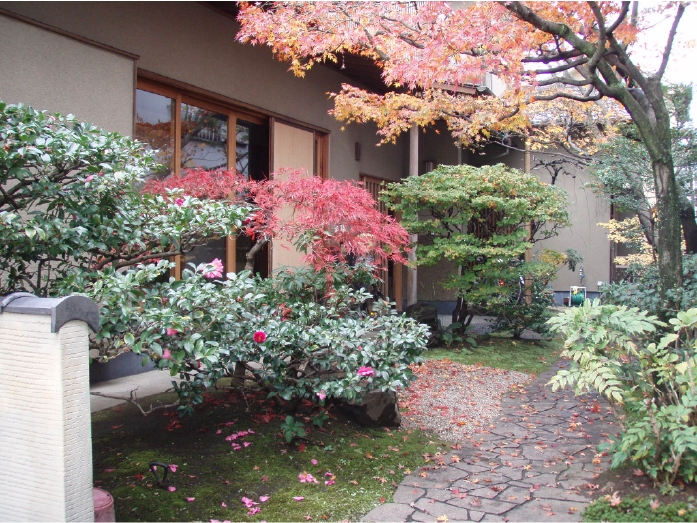 紅葉したモミジと植栽が建物沿いに配置された落ち着いた日本庭園の小径